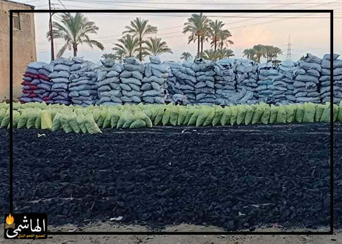 شركات تصدير الفحم فى مصر